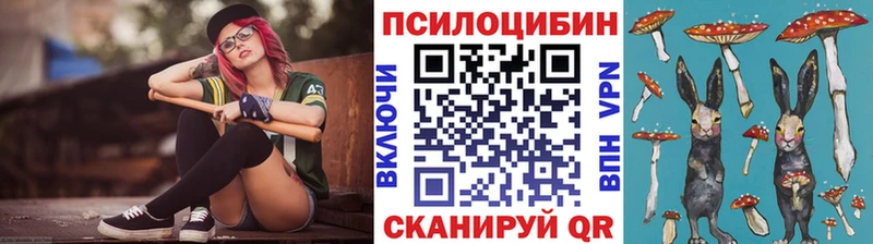 Псилоцибиновые грибы GOLDEN TEACHER  где можно купить наркотик  Славгород 